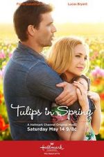 Watch Tulips in Spring Myflixer