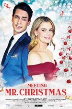 Watch Meeting Mr. Christmas Myflixer