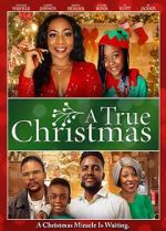 Watch A True Christmas Myflixer