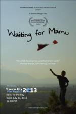 Watch Waiting for Mamu Myflixer