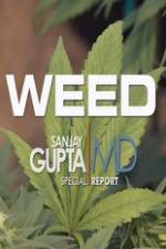Watch CNN Weed Sanjay Gupta Report Myflixer