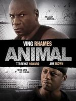 Watch Animal Myflixer