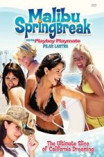 Watch Malibu Spring Break Myflixer