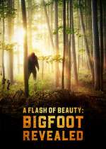 Watch A Flash of Beauty: Bigfoot Revealed Myflixer