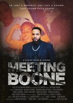 Watch Meeting Boone Myflixer
