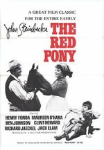 Watch The Red Pony Myflixer
