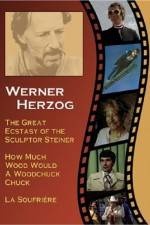 Watch Die gro�e Ekstase des Bildschnitzers Steiner Myflixer