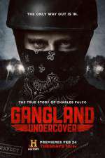 Watch Gangland Undercover Myflixer