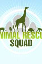 Watch Animal Rescue Squad Myflixer