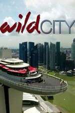 Watch Wild City Myflixer