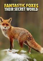 Watch Fantastic Foxes: Their Secret World Myflixer