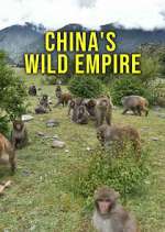 Watch China's Wild Empire Myflixer