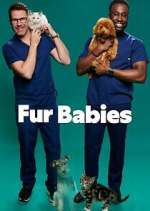 Watch Fur Babies Myflixer