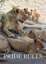 Watch Pride Rules Myflixer