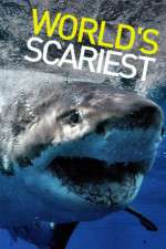 Watch World's Scariest... Myflixer