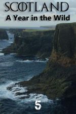 Watch Scotland: A Wild Year Myflixer