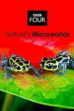 Watch Natures Microworlds Myflixer