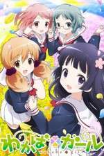 Watch Wakaba Girl Myflixer