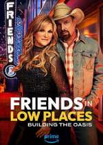 Watch Friends in Low Places Myflixer