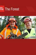 Watch The Forest Myflixer