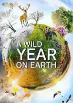 Watch A Wild Year on Earth Myflixer