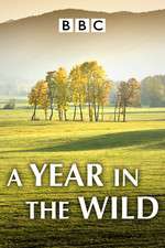 Watch A Year in the Wild Myflixer