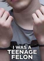Watch I Was a Teenage Felon Myflixer