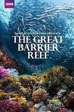 Watch Great Barrier Reef with David Attenborough Myflixer