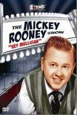 Watch The Mickey Rooney Show Myflixer