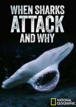Watch When Sharks Attack... And Why Myflixer