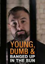 Watch Young Dumb & Banged Up in the Sun Myflixer