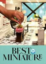 Watch Best in Miniature Myflixer