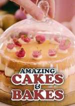 Watch Amazing Cakes & Bakes Myflixer