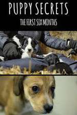 Watch Puppy Secrets: The First Six Months Myflixer