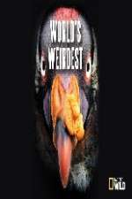 Watch National Geographic Worlds weirdest Myflixer