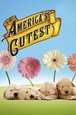Watch America's Cutest Myflixer