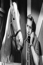 Watch Countdown to... Myflixer