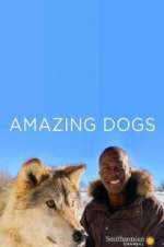 Watch Amazing Dogs Myflixer
