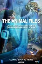 Watch The Animal Files Myflixer