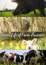 Watch Secret Life of Farm Animals Myflixer