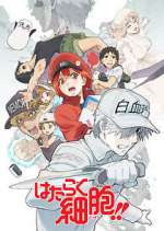 Watch Cells at Work! Myflixer