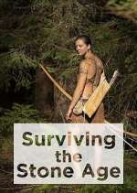 Watch Surviving the Stone Age Myflixer