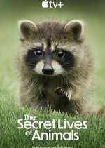Watch The Secret Lives of Animals Myflixer
