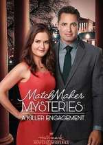 Watch The Matchmaker Mysteries Myflixer
