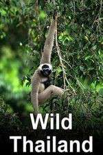 Watch Wild Thailand Myflixer
