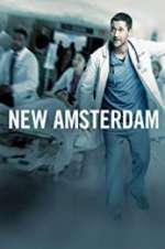 Watch New Amsterdam Myflixer