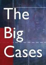 Watch The Big Cases Myflixer