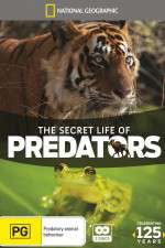 Watch Secret Life of Predators Myflixer