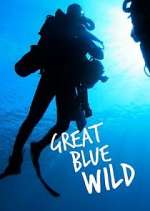 Watch Great Blue Wild Myflixer