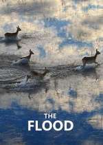 Watch The Flood Myflixer